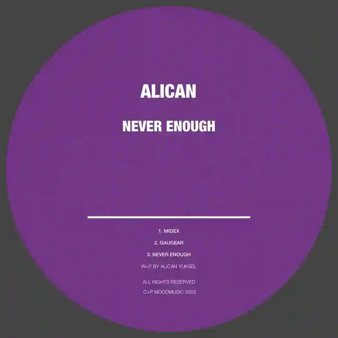 Never Enough (Original Mix) cover