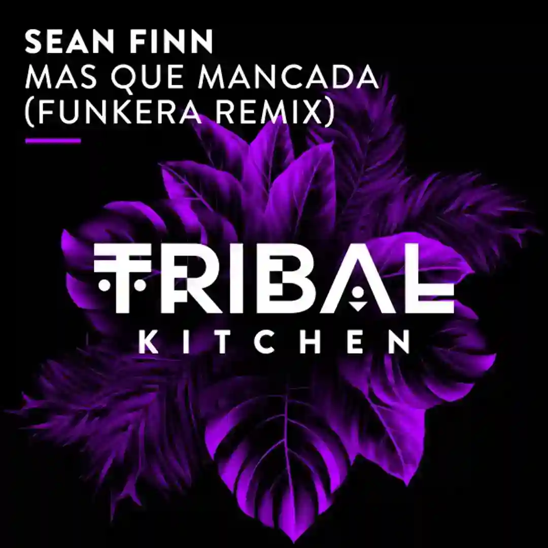 Mas Que Mancada (Funkera Extended Remix) cover
