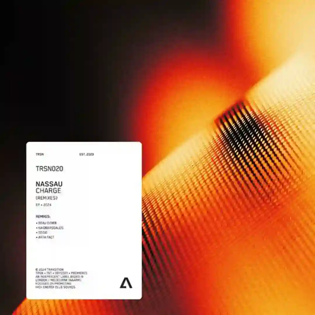 Tempo (KaioBarssalos Remix) cover