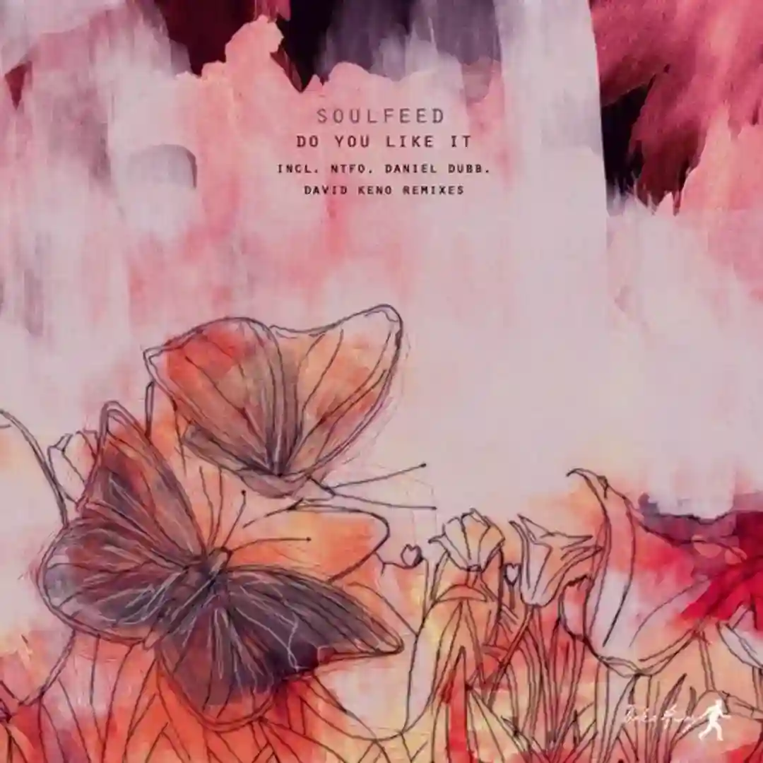 Do You Like It (Original Mix) cover