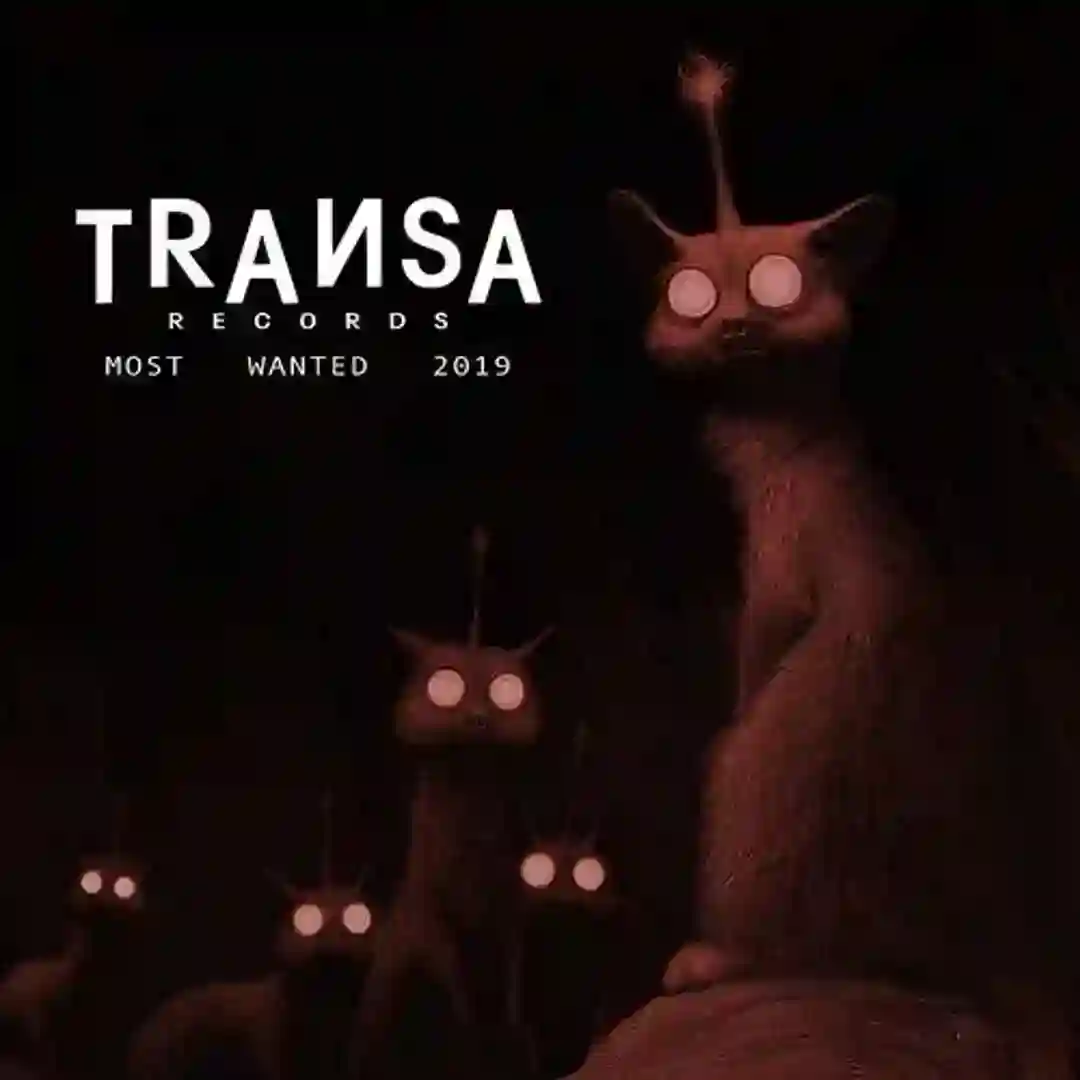 Transa Records - Most Wanted 2019 cover