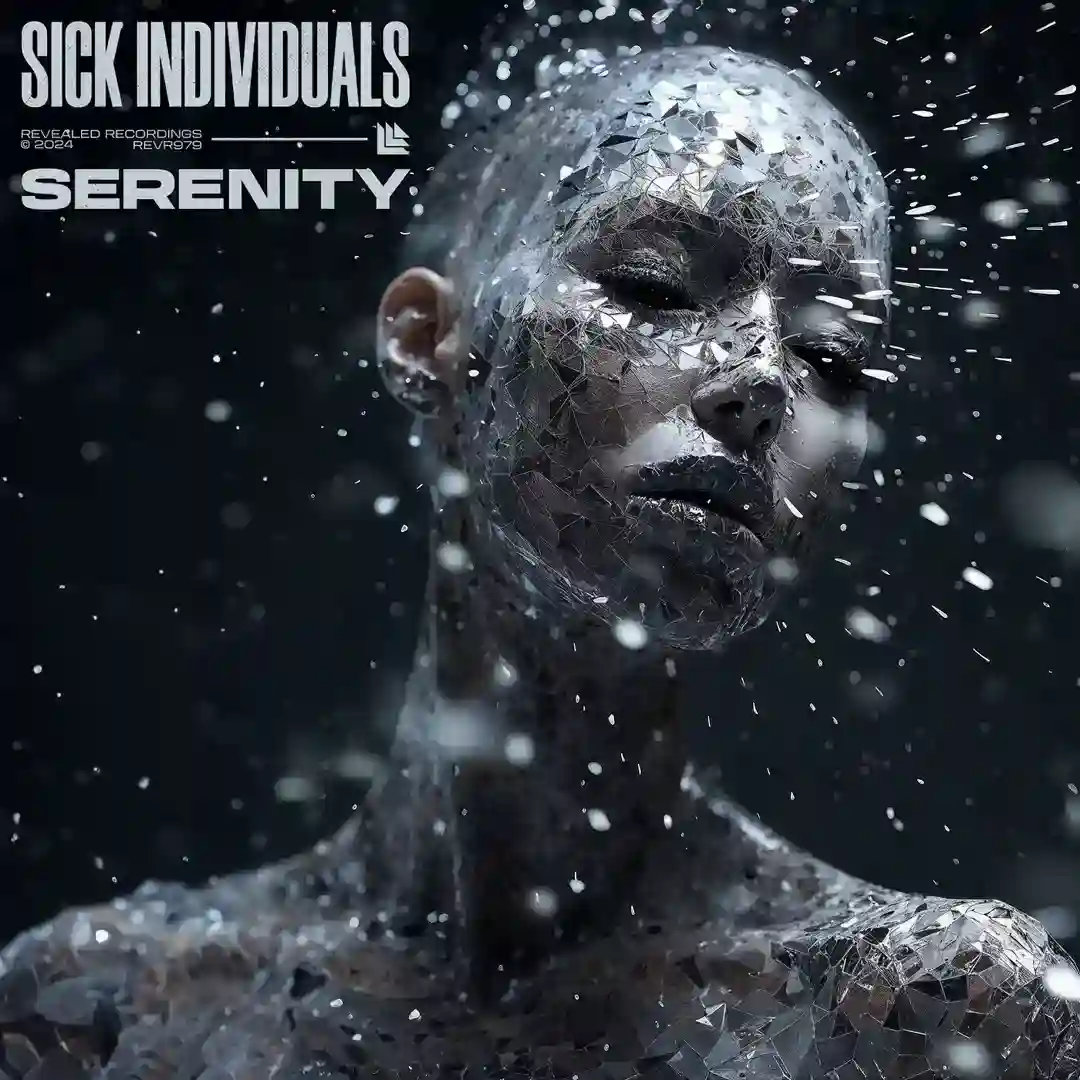 Serenity (Extended Mix) cover