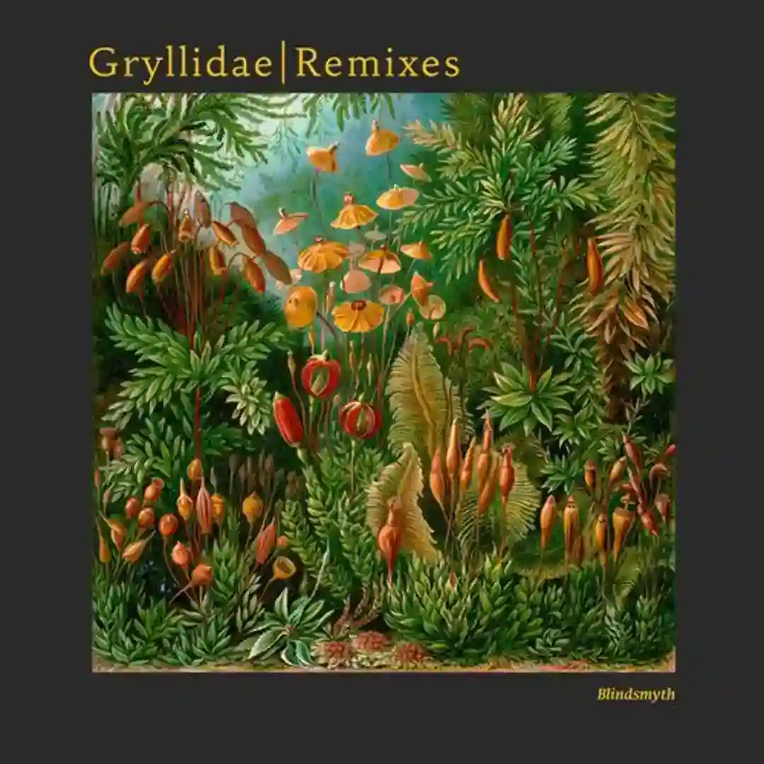 Gryllidae Remixes cover