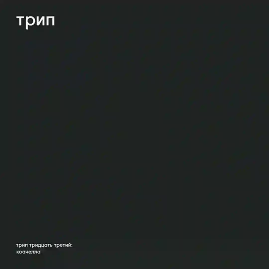 boss 303 cover