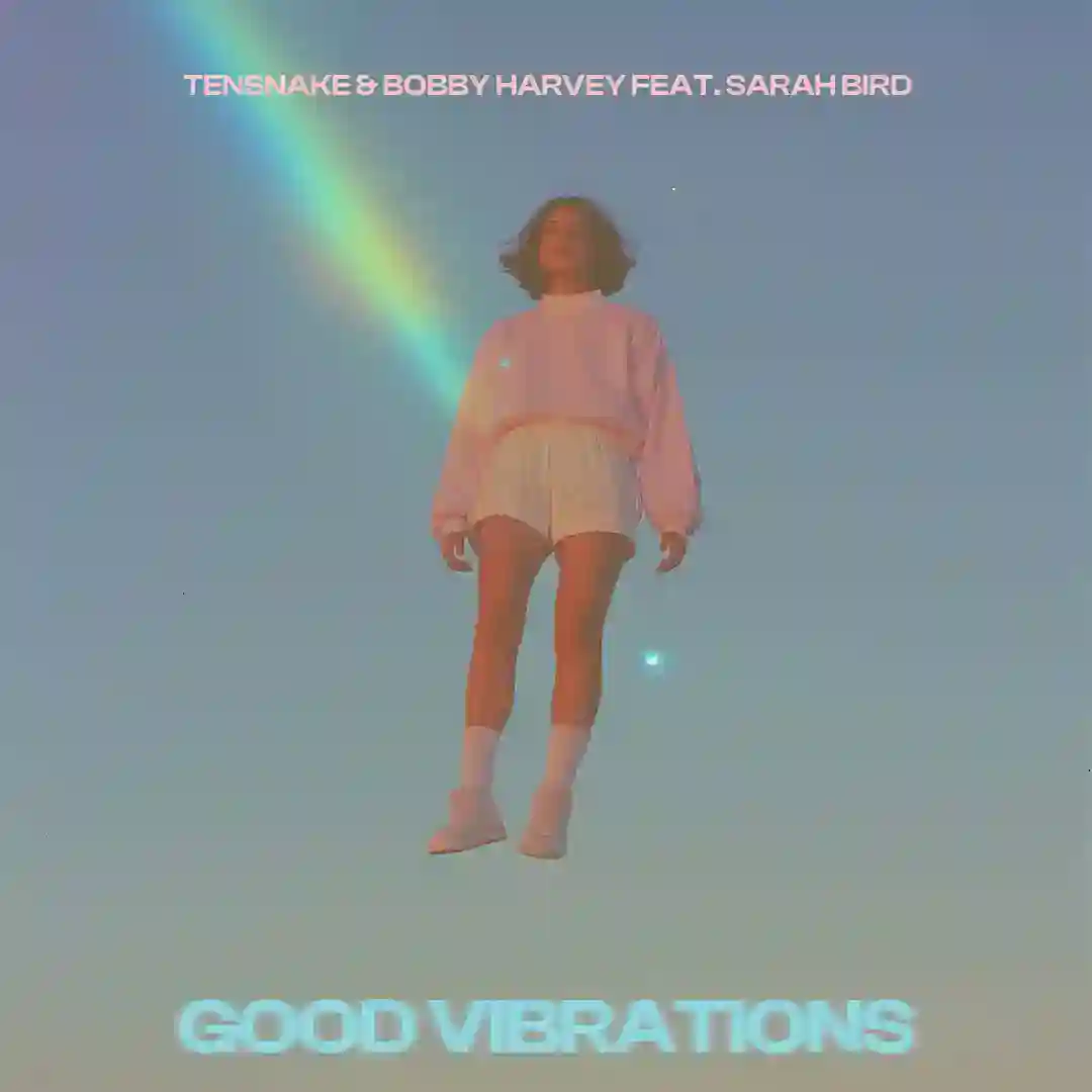 Good Vibrations cover