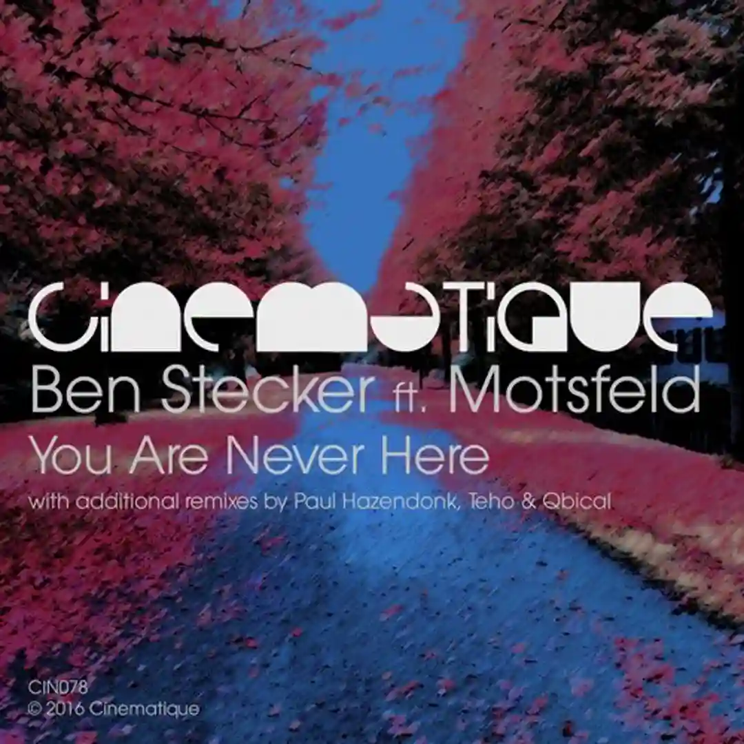 You Are Never Here feat. Motsfeld (Teho Remix) cover