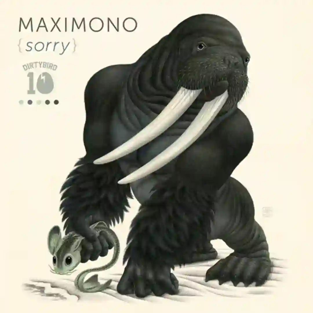 Sorry (Original Mix) cover