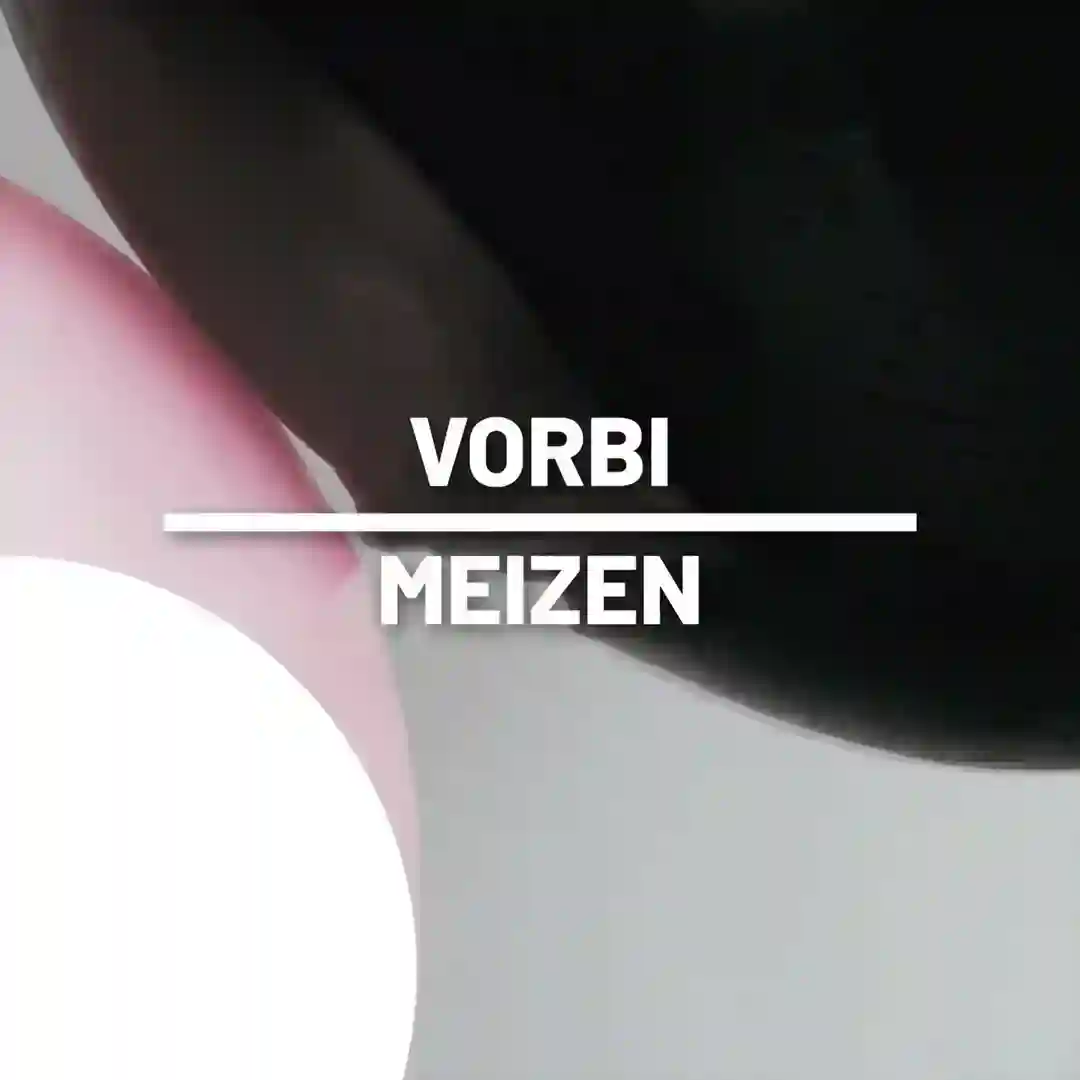 Vorbi cover