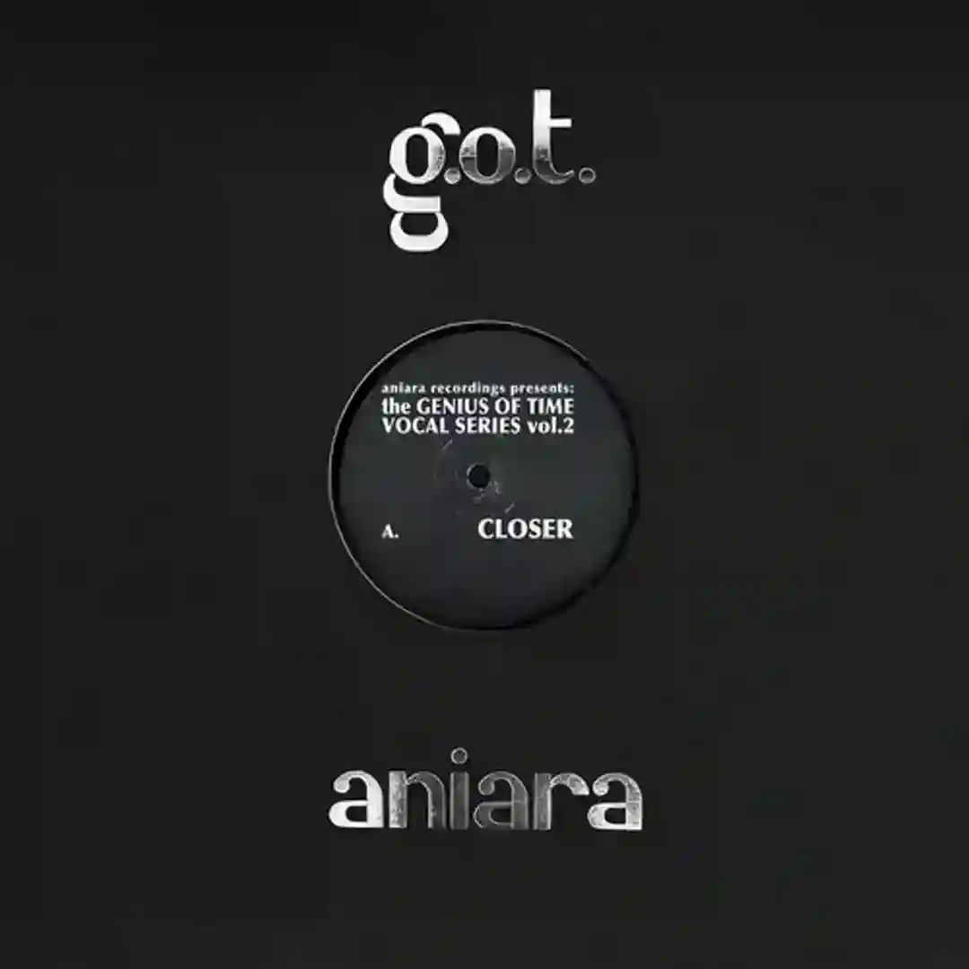 Closer cover