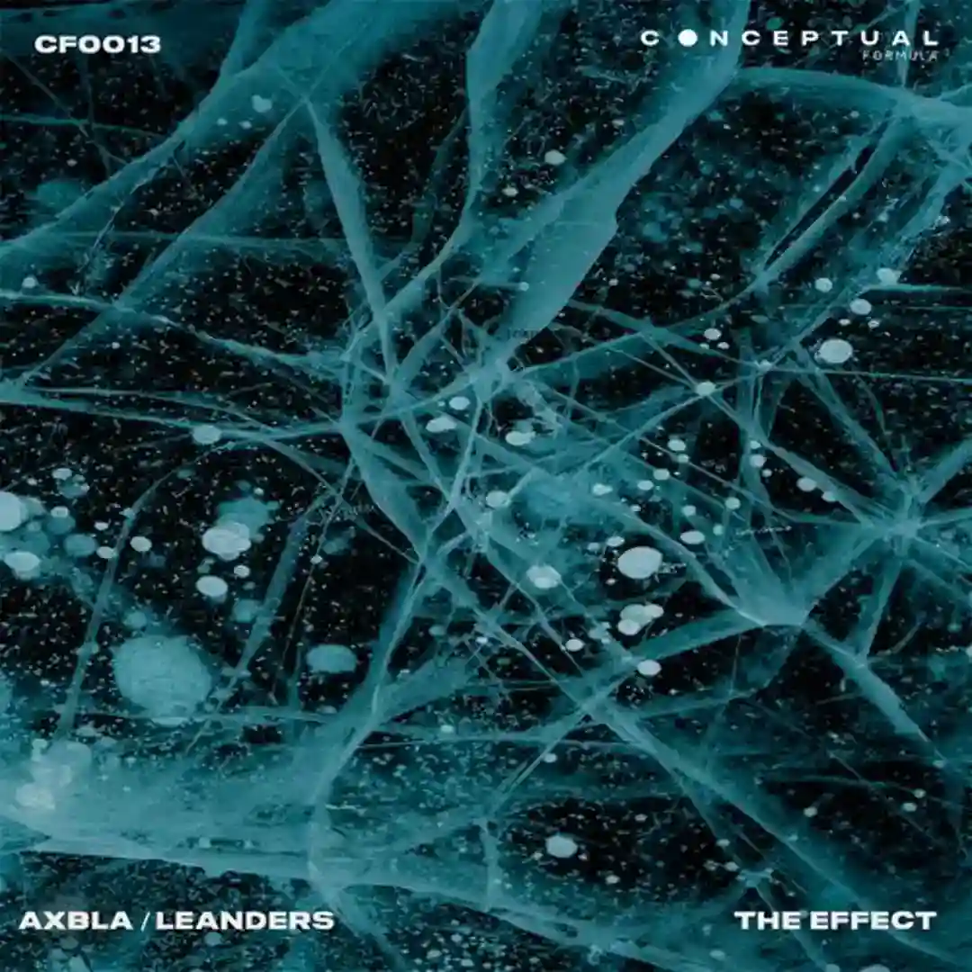 The Effect cover