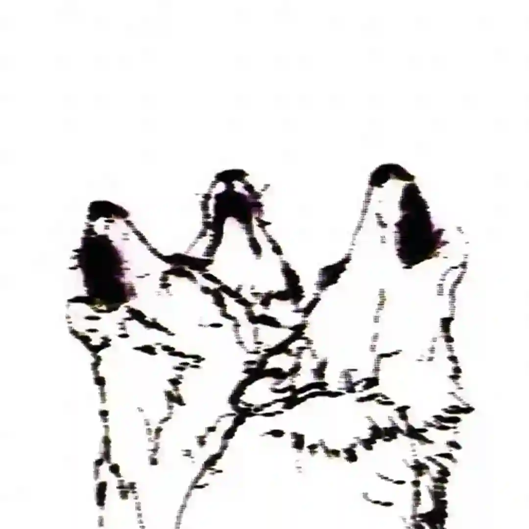 Wolves (Original Mix) cover