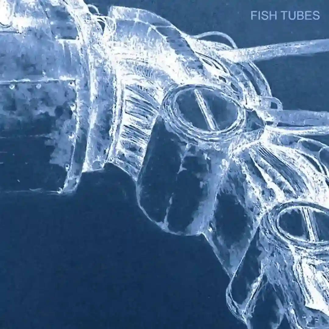 Fish Tubes cover