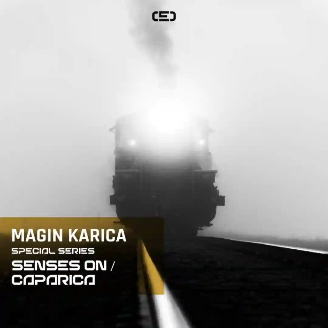 Senses On (Original Mix) cover