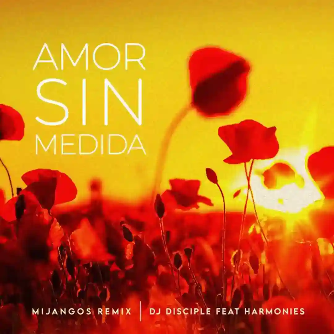 Amor Sin Medida (Mijangos Latin House Remix) cover