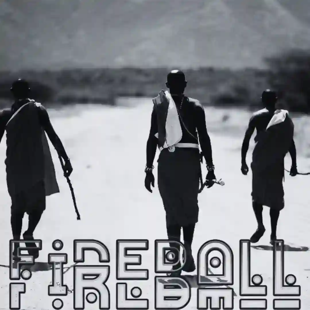 Fireball (Sir Gaga Remix) cover