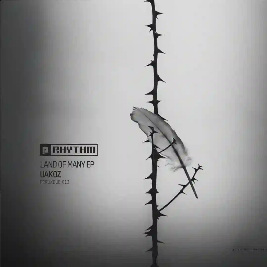 Land Of Many (Original Mix) cover