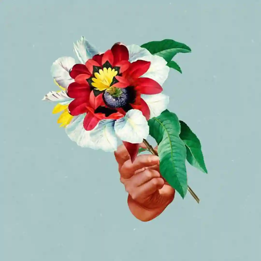 Kingdoms In Colour cover