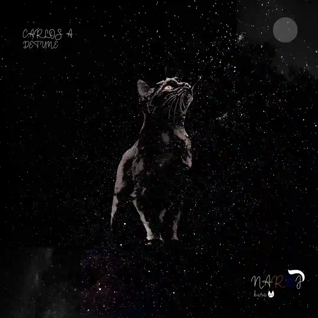Clear (Original Mix) cover