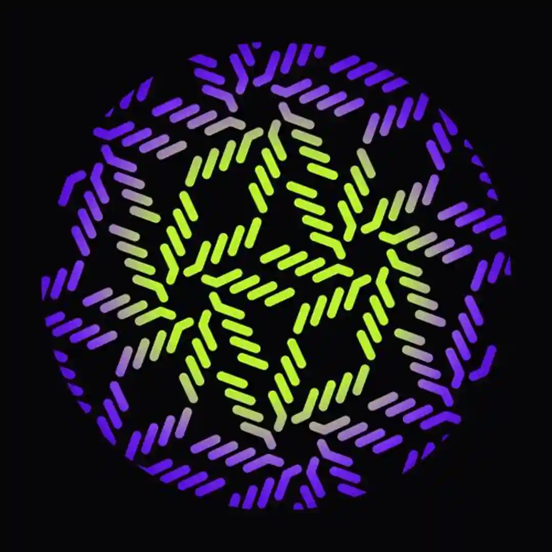 Basic Path cover