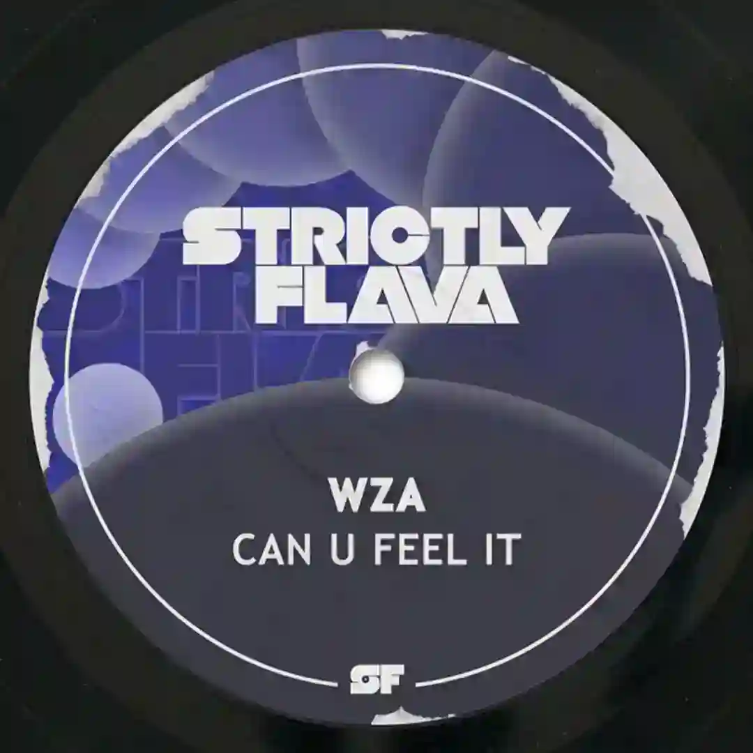 Can U Feel It (Original Mix) cover
