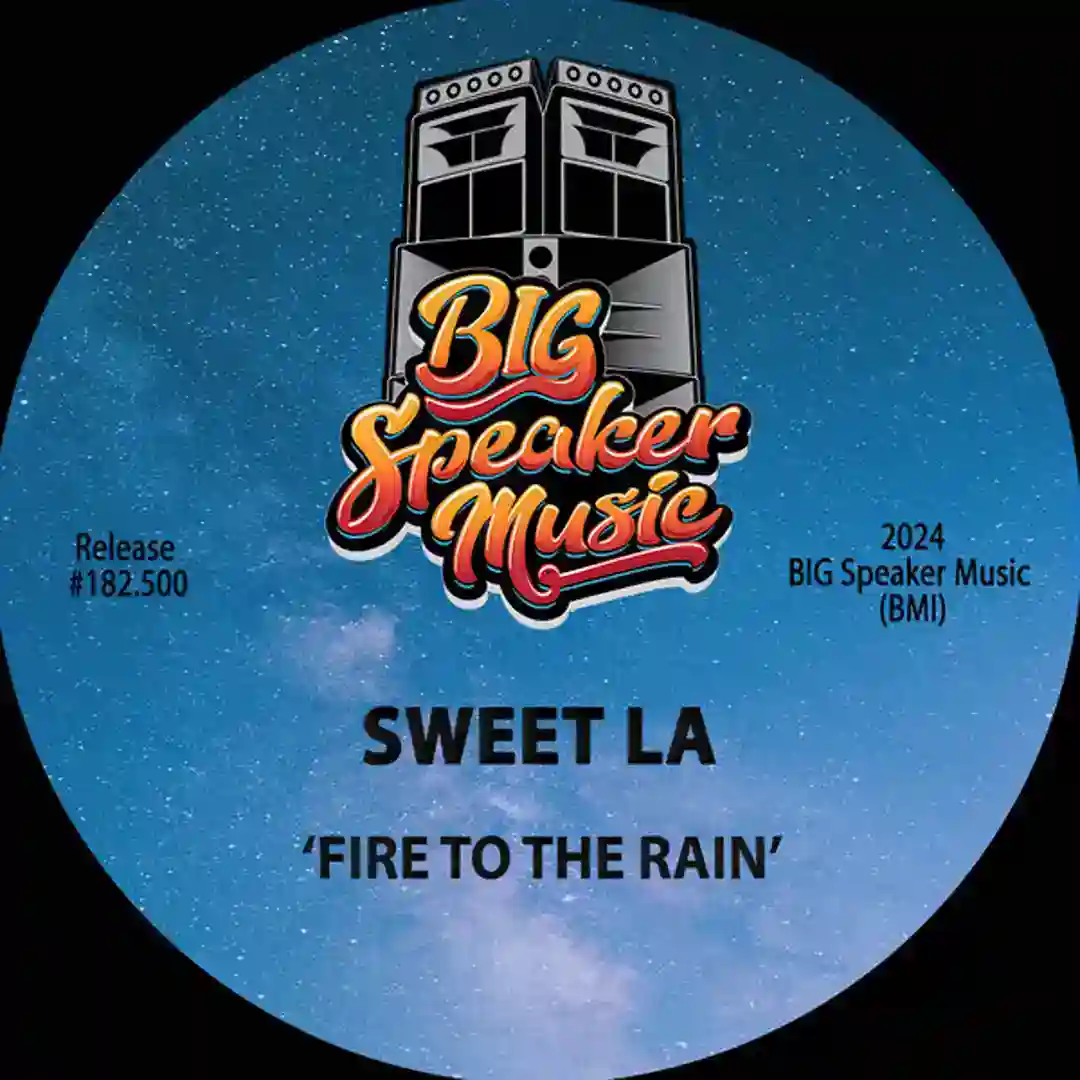 Set Fire To The Rain (Extended Mix) cover