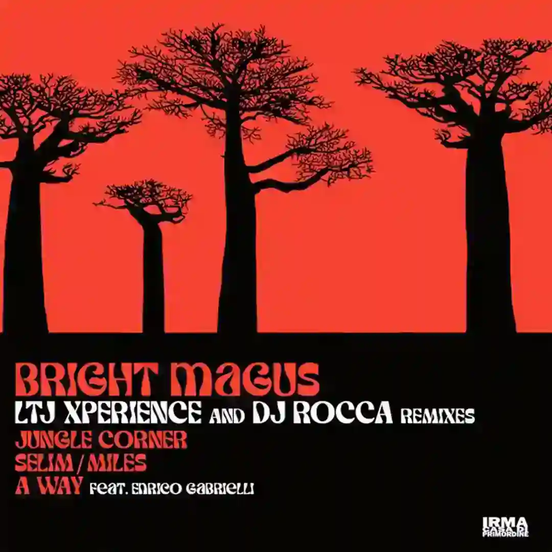 Selim/Miles (DJ Rocca 606 Mix) cover