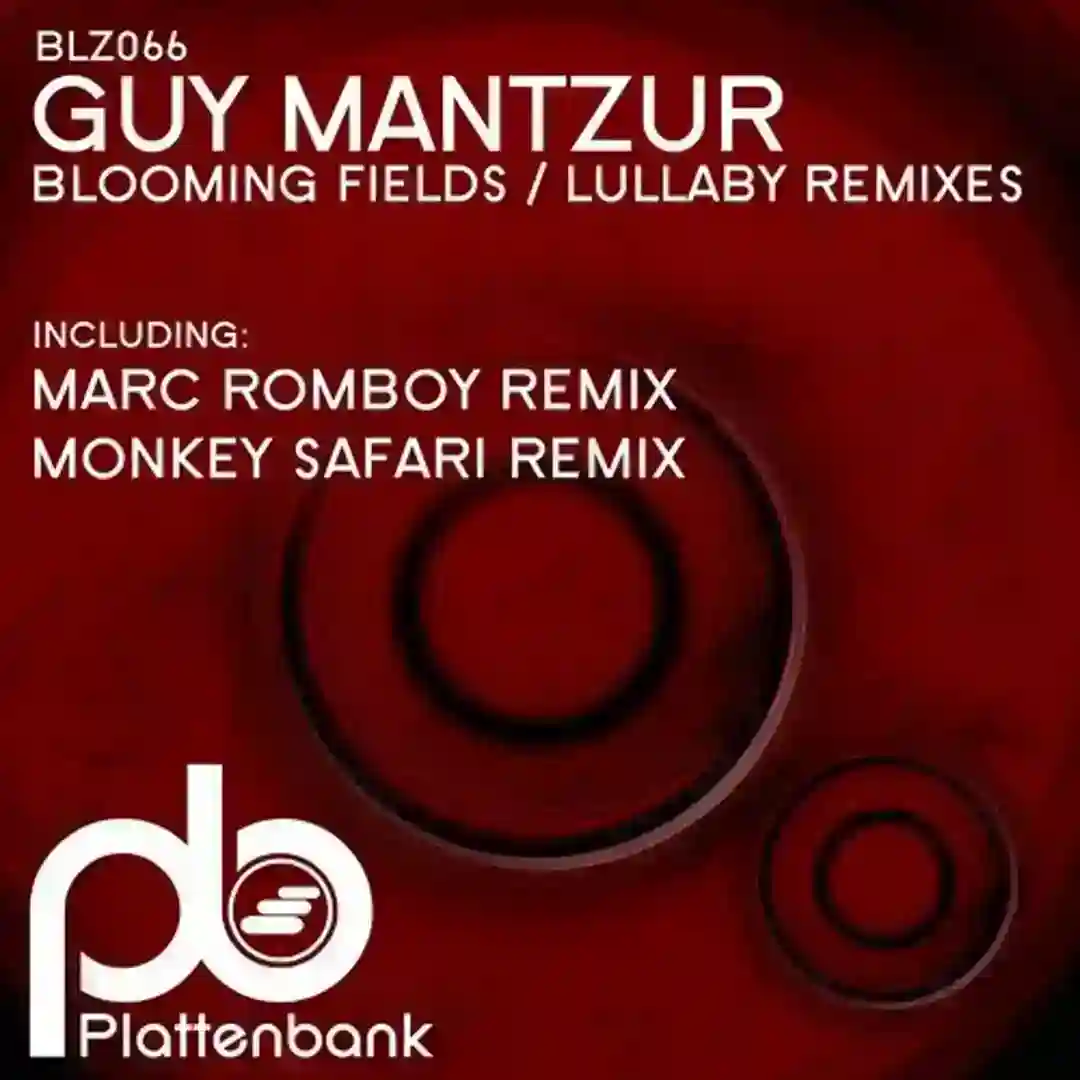 Blooming Fields / Lullaby Remixes cover