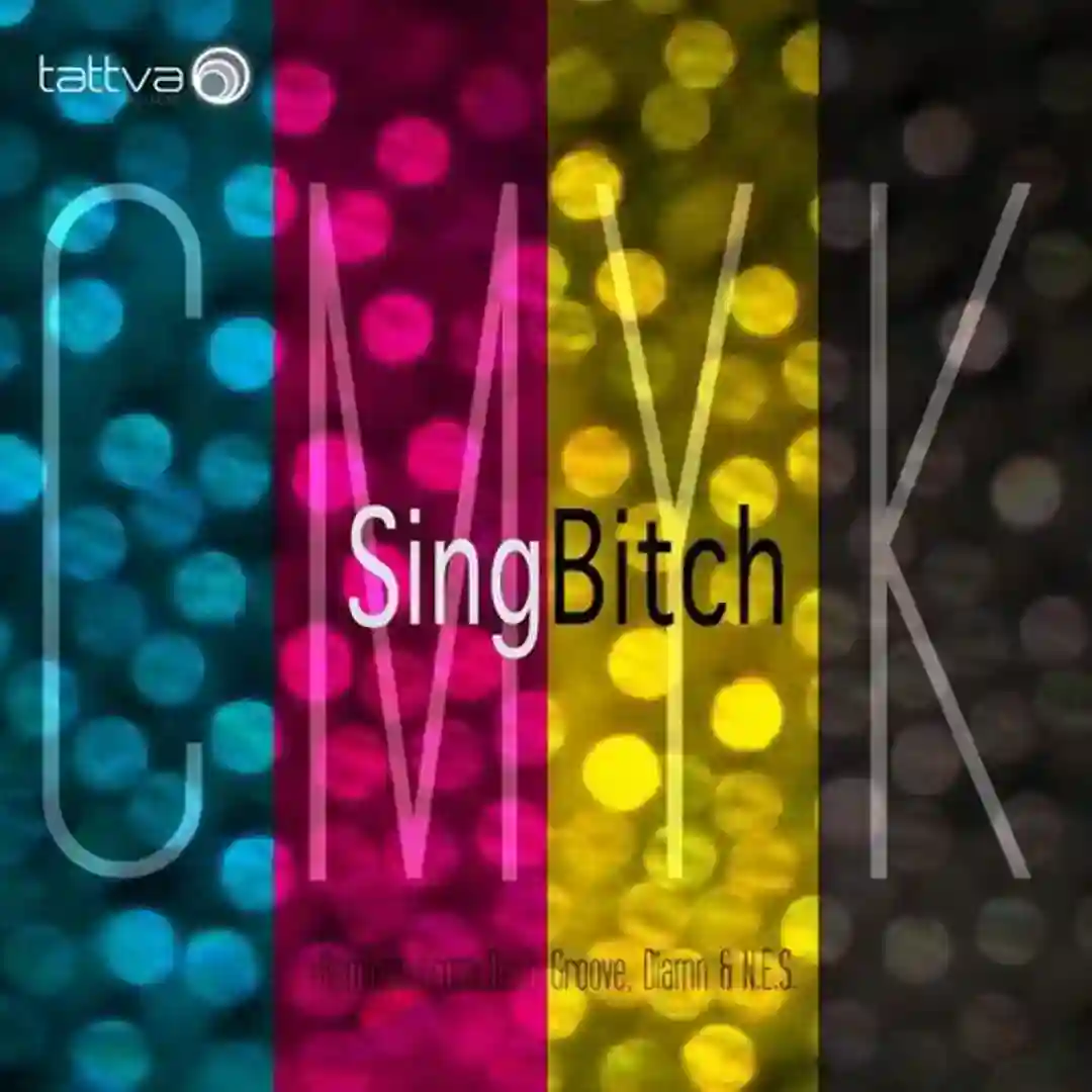 Sing Bitch (Diamn Remix) cover
