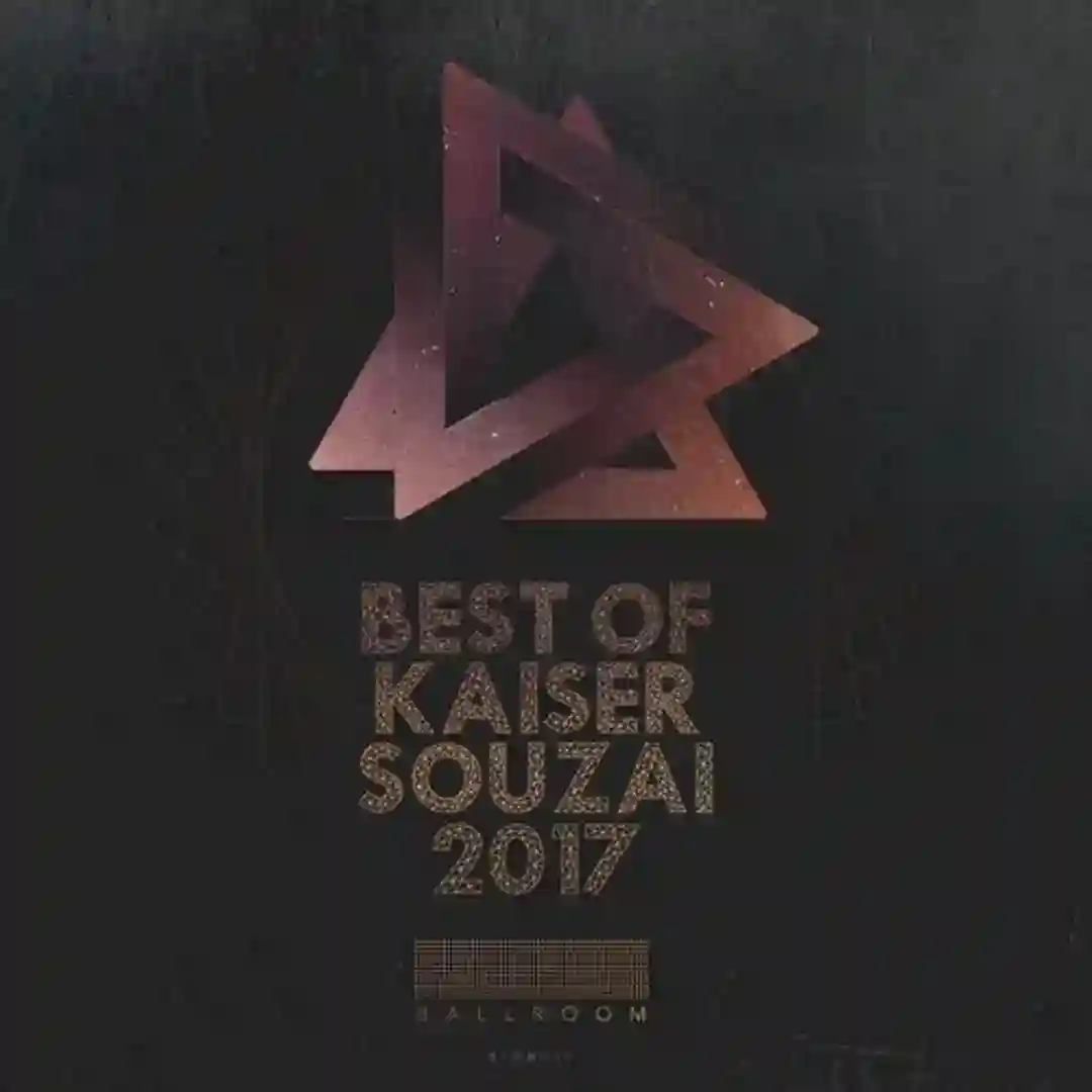 The Wild Club (Kaiser Souzai Remix) cover