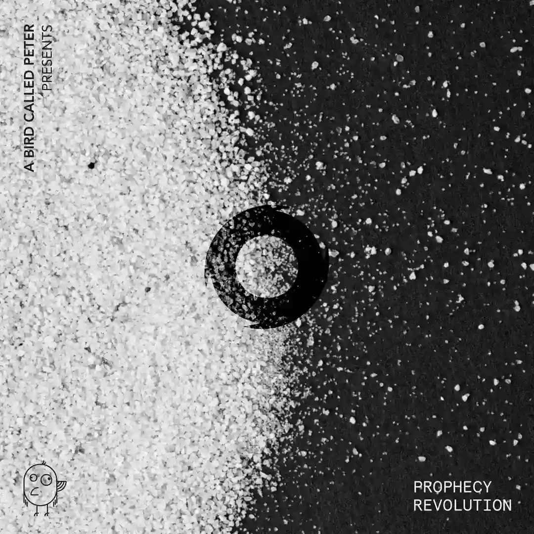 Revolution (Extended Mix) cover