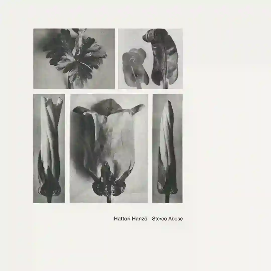 Stereo Abuse cover