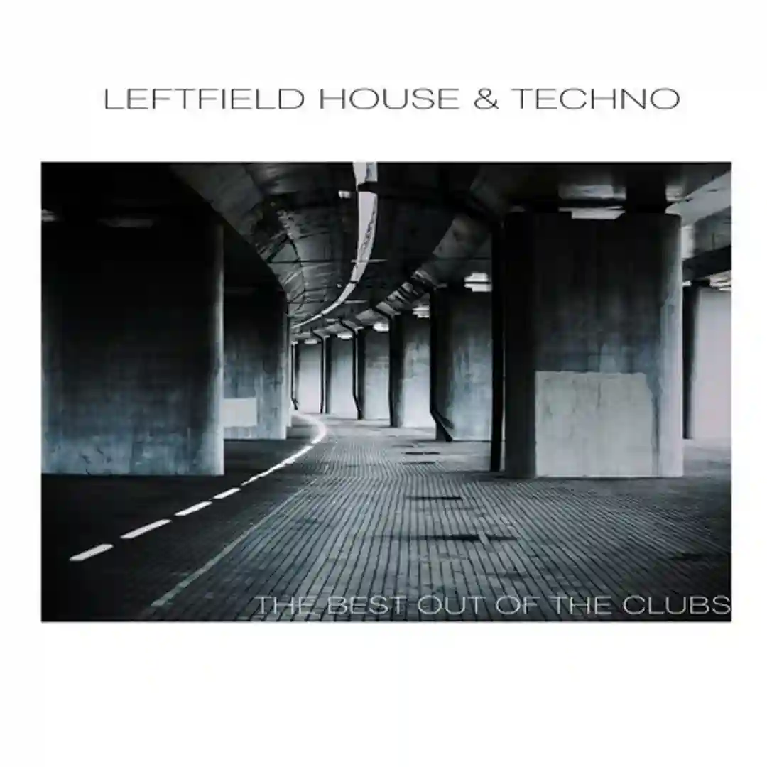 The Next (Original Mix) cover