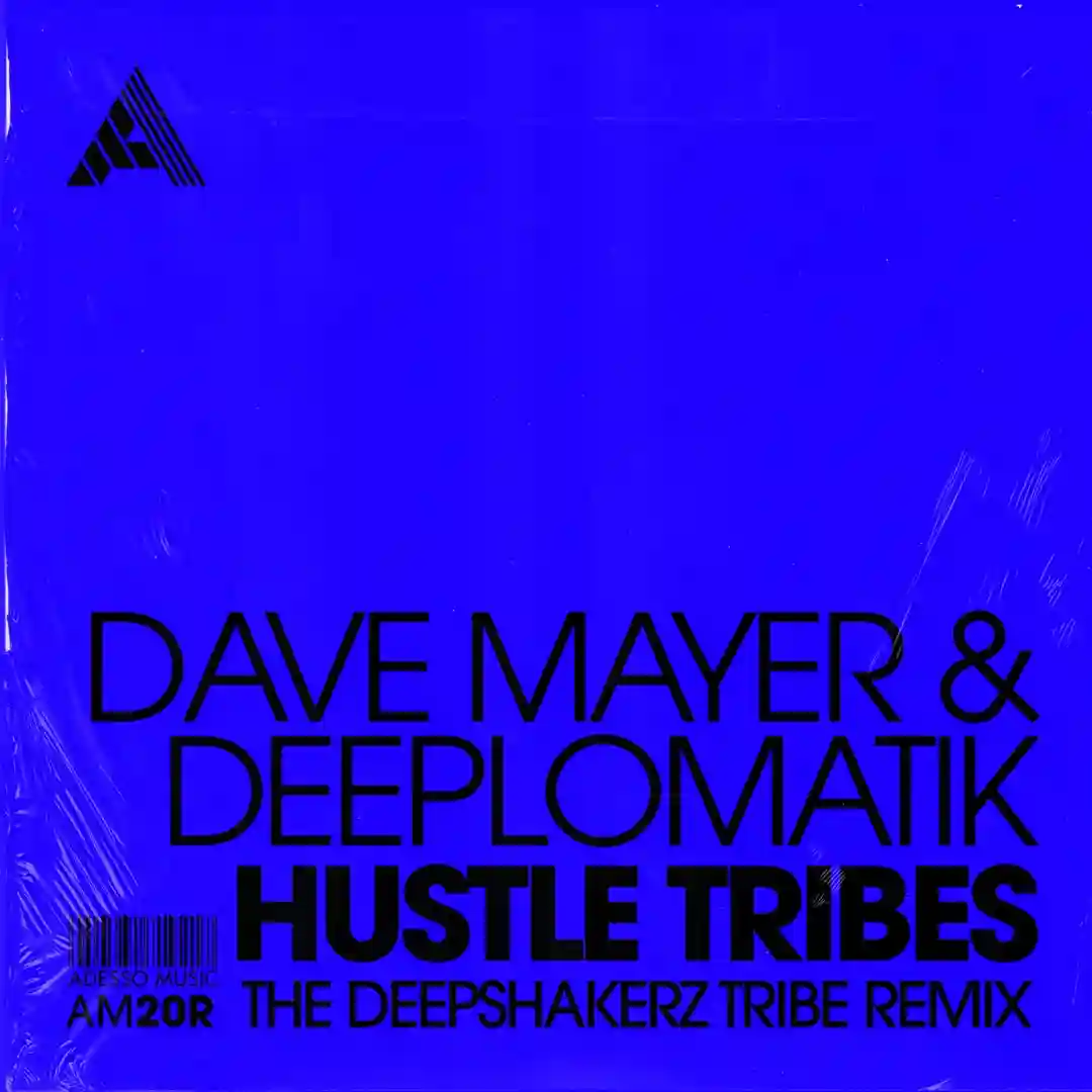 Hustle Tribes (The Deepshakerz Tribe Remix) (Extended Mix) cover
