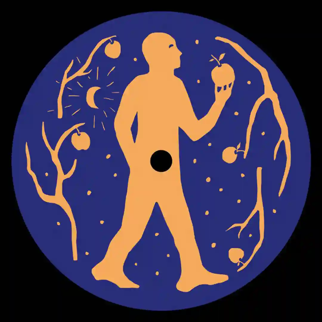 Gli Ornamenti... (Ambient Mix) cover