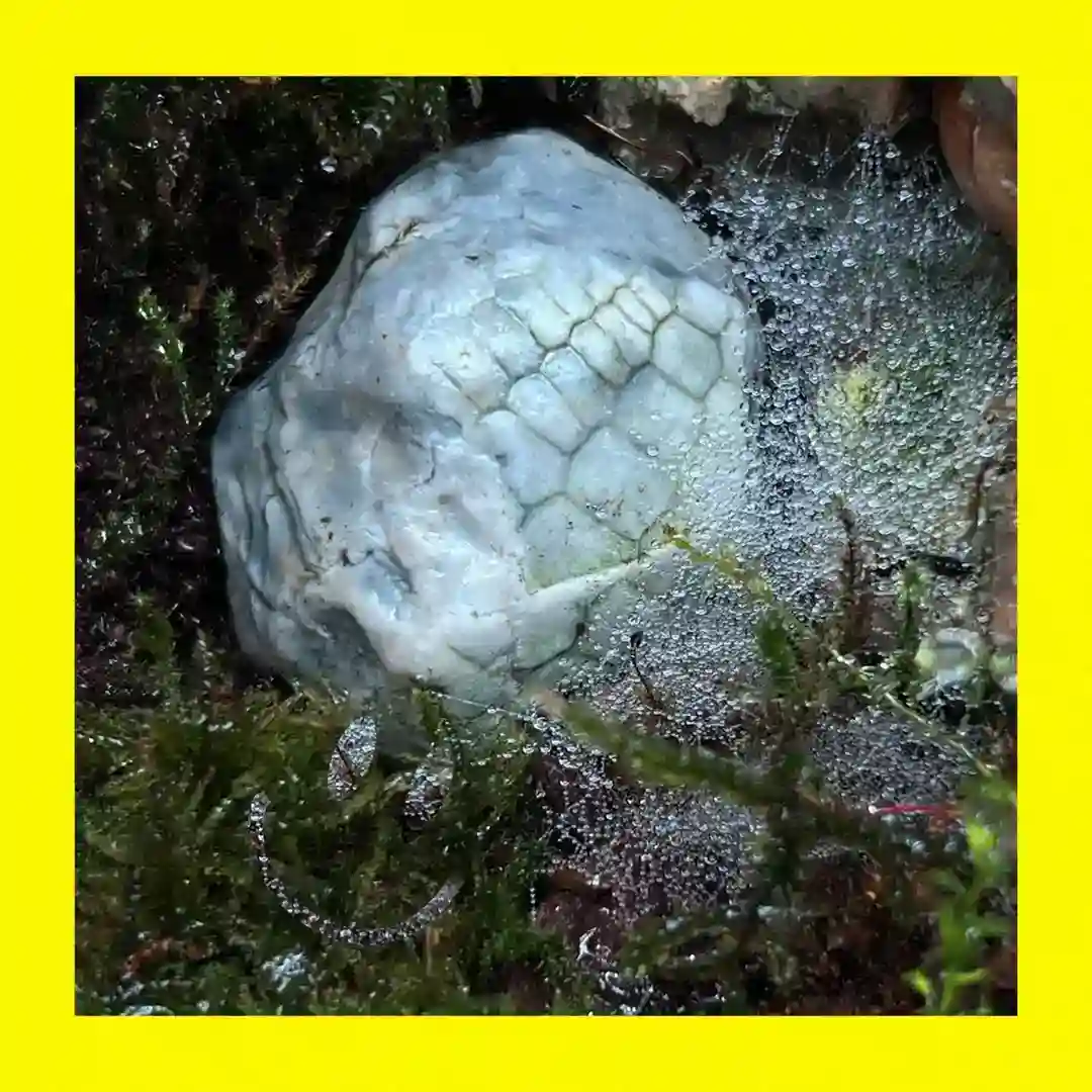 Return to the Source (Original) cover