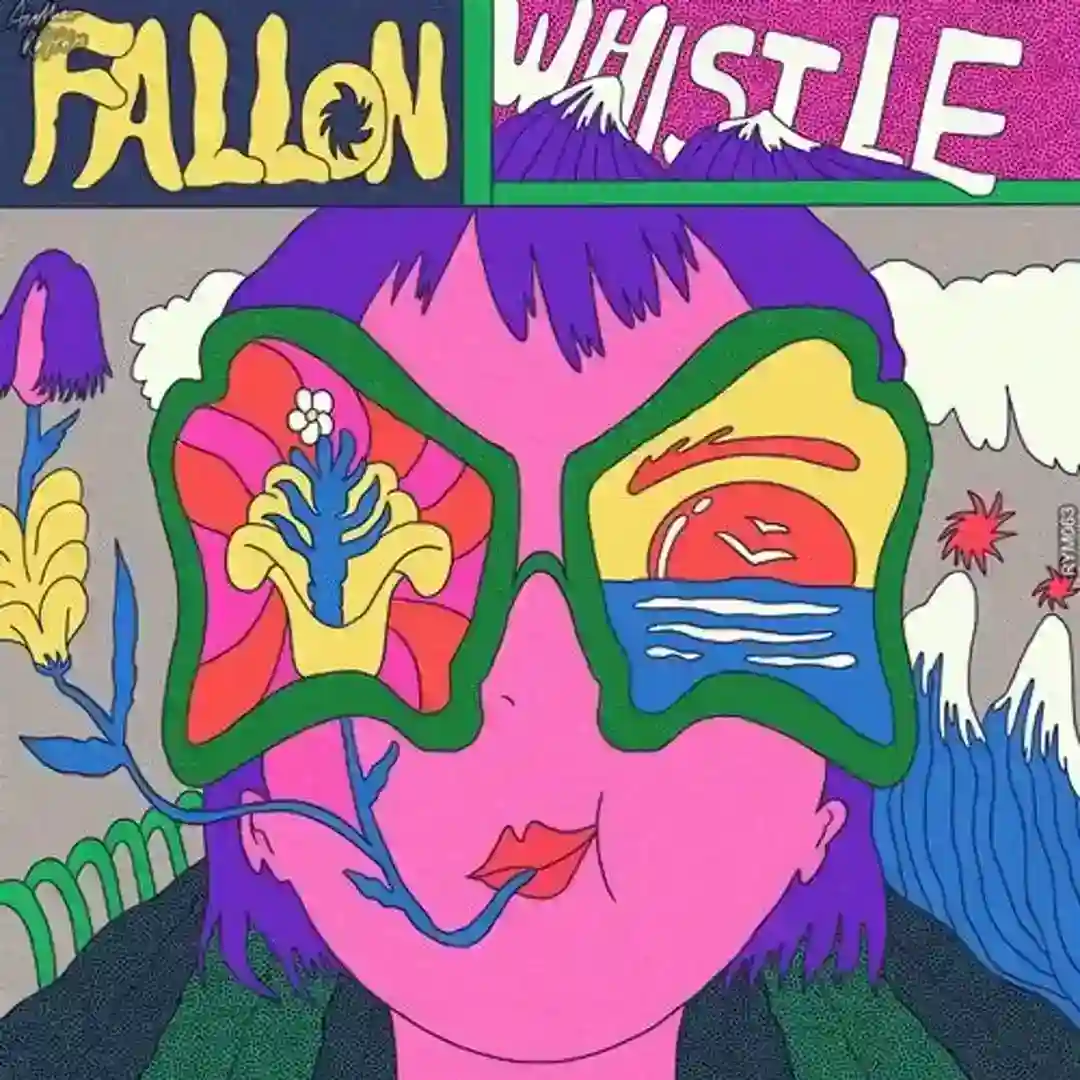 Whistle cover