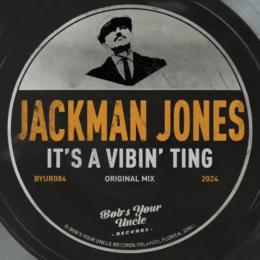 It's A Vibin' Ting cover