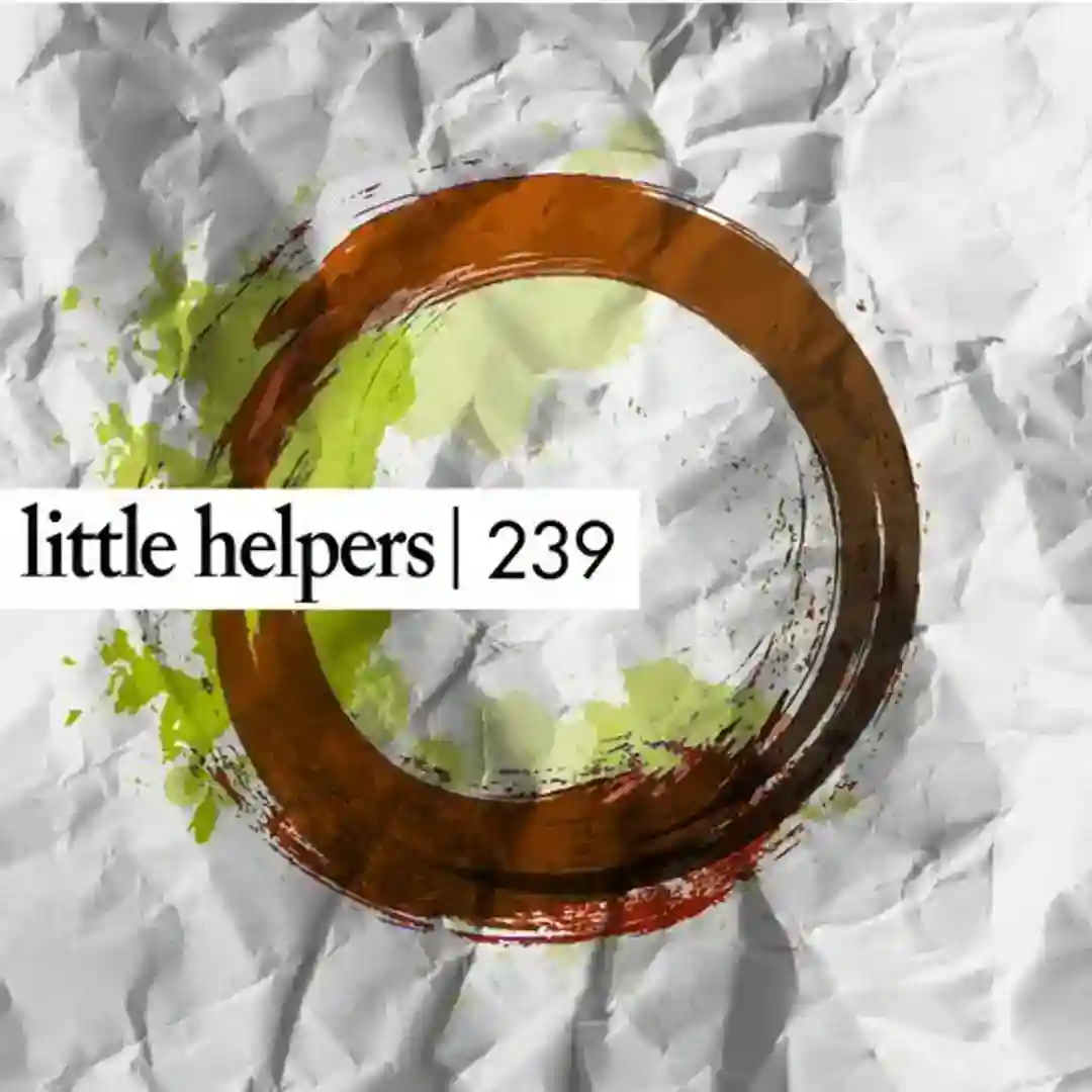 Little Helper 239-6 (Original Mix) cover