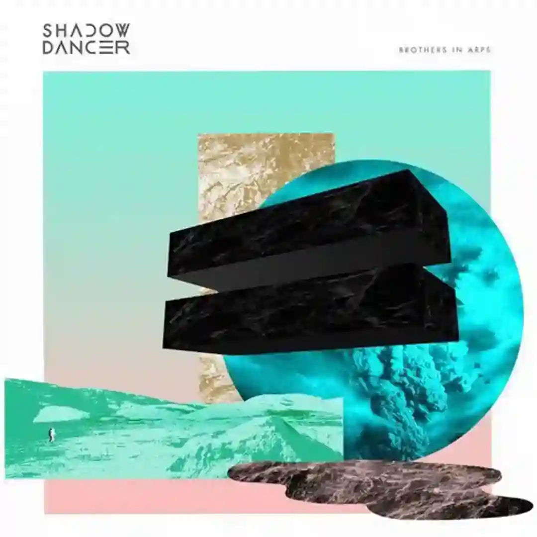 Shake feat. David AKZ (Club Version) cover