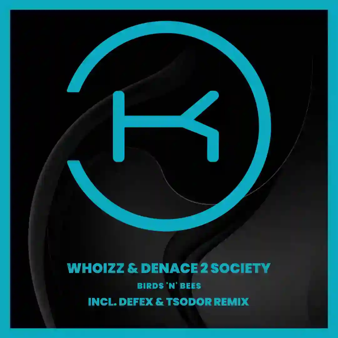 Birds 'N' Bees (Defex & Tsodor Remix) cover