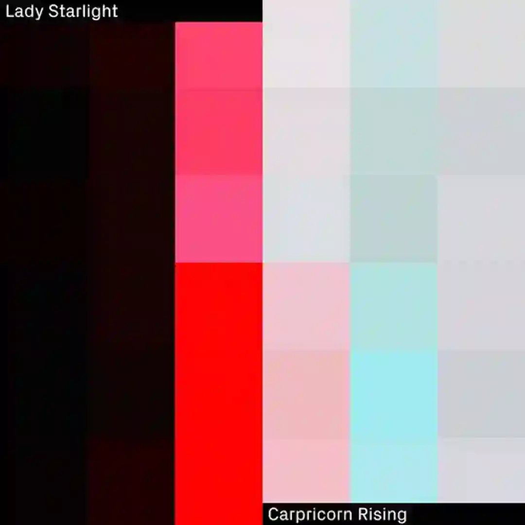 Capricorn Rising cover