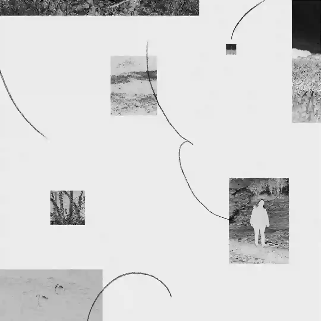 (Nature Reset Gap) cover