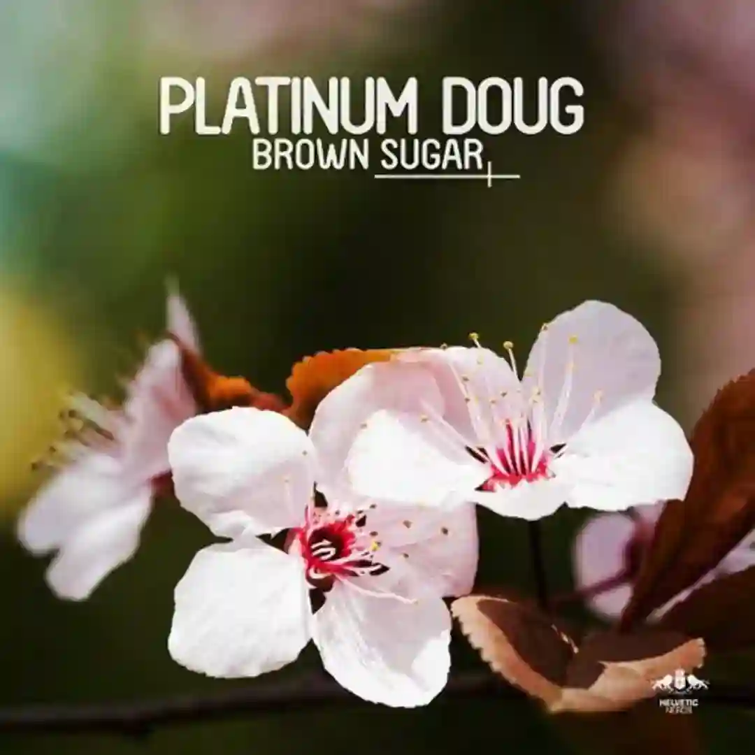 Brown Sugar (Croatia Squad Remix) cover