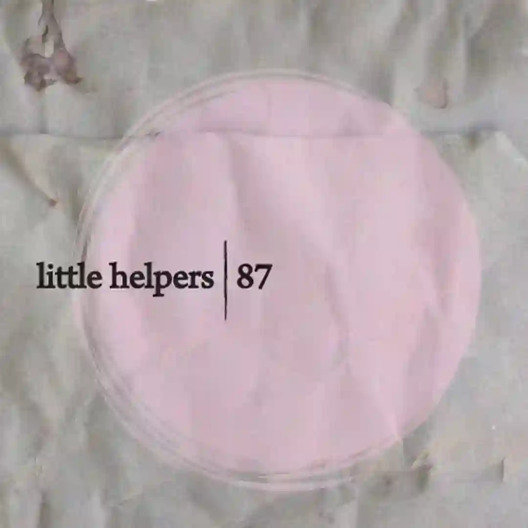Little Helper 87-6 (Original Mix) cover