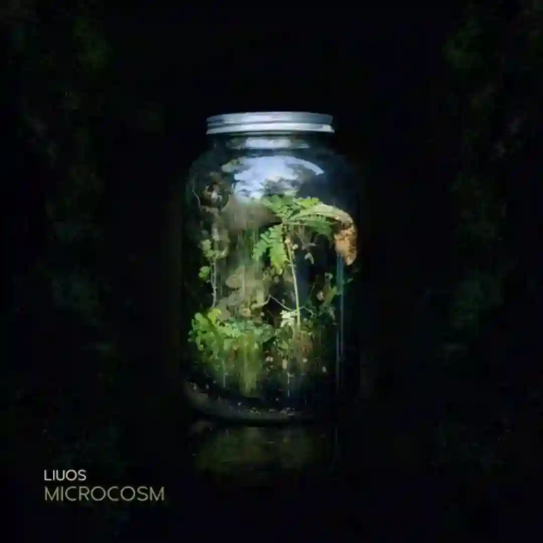 Controlled Conditions (Original Mix) cover