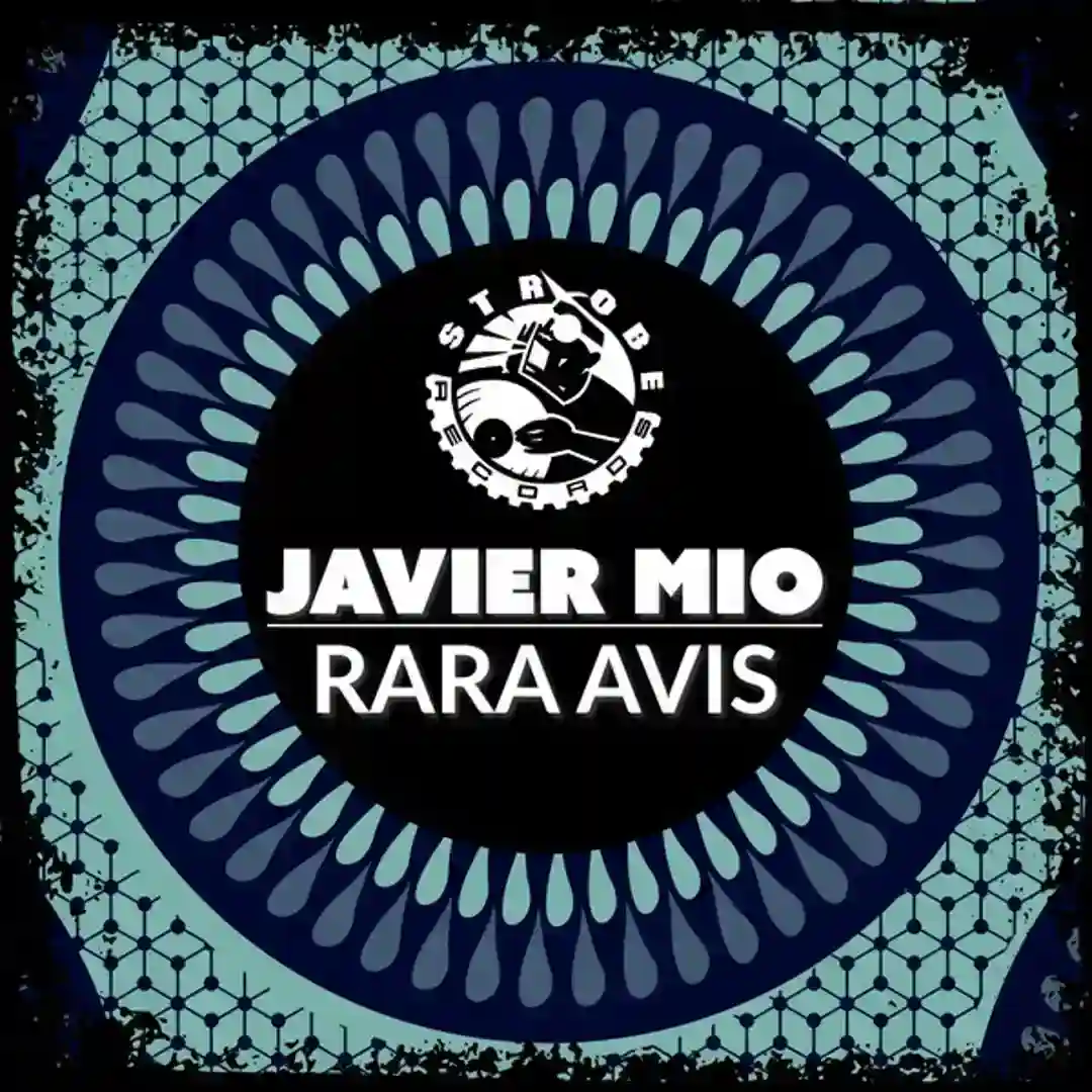 Rara Avis (Original Mix) cover