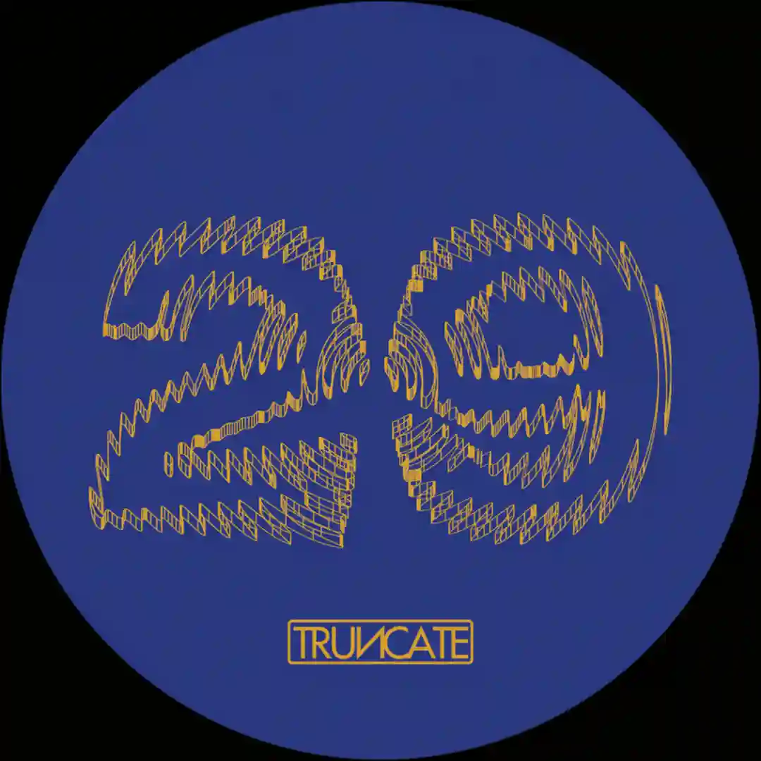 The Trip (Original Mix) cover
