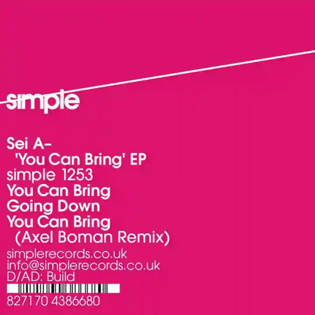 You Can Bring (Original Mix) cover