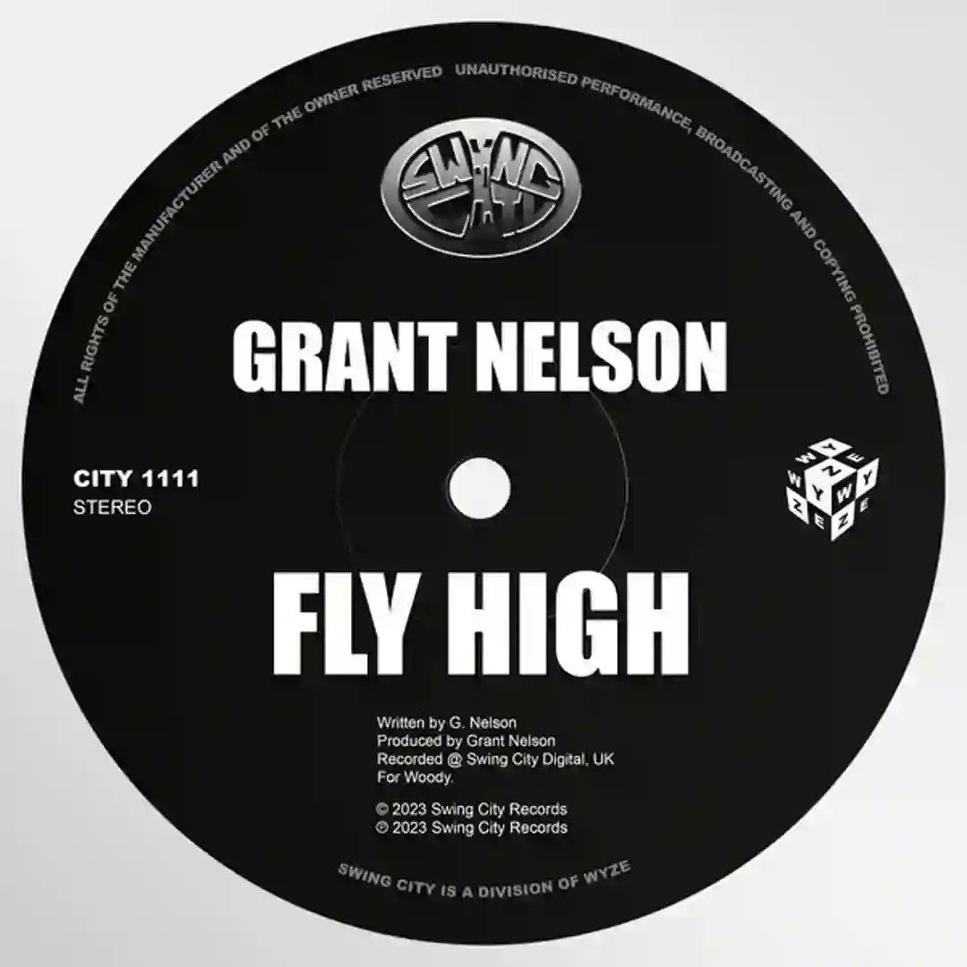 Fly High cover