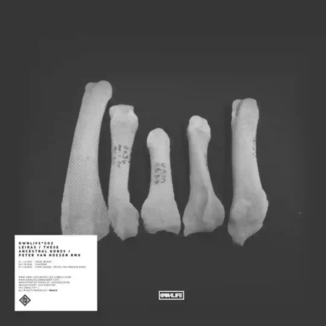 These Ancestral Bones cover